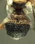  ( - BPC4325)  @11 [ ] Unspecified (default): All Rights Reserved  Bio-protection Research Centre Unspecified