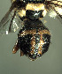  ( - BPC4368)  @13 [ ] Unspecified (default): All Rights Reserved  Bio-protection Research Centre Unspecified