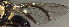  ( - BPC4369)  @13 [ ] Unspecified (default): All Rights Reserved  Bio-protection Research Centre Unspecified