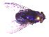 ( - QCAZI_224622)  @11 [ ] Unspecified (default): All Rights Reserved  Unspecified Unspecified