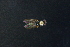  ( - QCAZI_220938)  @11 [ ] Unspecified (default): All Rights Reserved  Unspecified Unspecified