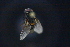  ( - QCAZI_232882)  @11 [ ] Unspecified (default): All Rights Reserved  Unspecified Unspecified