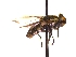  ( - QCAZI_235523)  @13 [ ] Unspecified (default): All Rights Reserved  Unspecified Unspecified