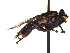  ( - QCAZI_235492)  @13 [ ] Unspecified (default): All Rights Reserved  Unspecified Unspecified