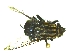  ( - QCAZI_235325)  @12 [ ] Unspecified (default): All Rights Reserved  Unspecified Unspecified
