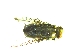  ( - QCAZI_235358)  @12 [ ] Unspecified (default): All Rights Reserved  Unspecified Unspecified