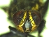  ( - QCAZI_235415)  @12 [ ] Unspecified (default): All Rights Reserved  Unspecified Unspecified