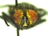  ( - QCAZI_235353)  @11 [ ] Unspecified (default): All Rights Reserved  Unspecified Unspecified