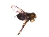  ( - QCAZI_235505)  @12 [ ] Unspecified (default): All Rights Reserved  Unspecified Unspecified