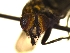  ( - QCAZI_235505)  @12 [ ] Unspecified (default): All Rights Reserved  Unspecified Unspecified