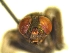  ( - QCAZI_235378)  @11 [ ] Unspecified (default): All Rights Reserved  Unspecified Unspecified