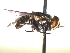  ( - QCAZI_235487)  @11 [ ] Unspecified (default): All Rights Reserved  Unspecified Unspecified