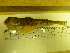  ( - Okh31)  @11 [ ] No Rights Reserved  Unspecified Unspecified
