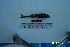  (Icelus canaliculatus - Ber42)  @11 [ ] No Rights Reserved  Unspecified Unspecified