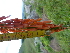  ( - FFVCC233)  @11 [ ] nrr  Unspecified Unspecified