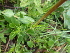  ( - FFVCC140)  @11 [ ] nrr  Unspecified Unspecified