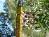  ( - FFVCC169)  @11 [ ] nrr  Unspecified Unspecified