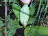  ( - FFVCC179)  @11 [ ] nrr  Unspecified Unspecified