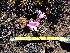  ( - FFVCC71)  @11 [ ] nrr  Unspecified Unspecified