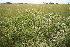  ( - 104_001)  @11 [ ] CreativeCommons - Attribution Non-Commercial Share-Alike (2019) Kostrzyca Forest Gene Bank Kostrzyca Forest Gene Bank