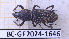  ( - BC-GF2024-1646)  @11 [ ] Creative Commons (2024) rodolphe rougerie Museum national d'histoire naturelle