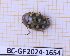  (Iphiclus - BC-GF2024-1654)  @11 [ ] Creative Commons (2024) rodolphe rougerie Museum national d'histoire naturelle