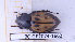  ( - BC-GF2024-1662)  @11 [ ] Creative Commons (2024) rodolphe rougerie Museum national d'histoire naturelle