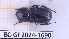  ( - BC-GF2024-1690)  @11 [ ] Creative Commons (2024) rodolphe rougerie Museum national d'histoire naturelle