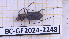  ( - BC-GF2024-2248)  @11 [ ] Creative Commons (2024) rodolphe rougerie Museum national d'histoire naturelle