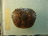  ( - 14GTFG-0086)  @12 [ ] Copyright (2012) Unspecified Instituto Nacional del Limnología (INALI-CONICET-UNL)