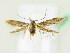  ( - BC ZSM Lep 61820)  @13 [ ] CreativeCommons - Attribution Non-Commercial Share-Alike (2015) Unspecified SNSB, Zoologische Staatssammlung Muenchen