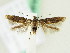  ( - BC ZSM Lep 61914)  @12 [ ] CreativeCommons - Attribution Non-Commercial Share-Alike (2015) Unspecified SNSB, Zoologische Staatssammlung Muenchen