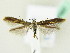  ( - BC ZSM Lep 61937)  @12 [ ] CreativeCommons - Attribution Non-Commercial Share-Alike (2015) Unspecified SNSB, Zoologische Staatssammlung Muenchen