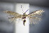  ( - BC ZSM Lep 63821)  @14 [ ] Unspecified (default): All Rights Reserved  Unspecified Unspecified