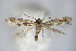  ( - BC ZSM Lep 63957)  @13 [ ] CreativeCommons - Attribution Non-Commercial Share-Alike (2015) Unspecified SNSB, Zoologische Staatssammlung Muenchen