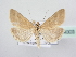  ( - BC ZSM Lep 64003)  @14 [ ] Unspecified (default): All Rights Reserved  Unspecified Unspecified