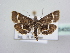  ( - BC ZSM Lep 64004)  @12 [ ] Unspecified (default): All Rights Reserved  Unspecified Unspecified