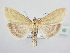  ( - BC ZSM Lep 64010)  @13 [ ] Unspecified (default): All Rights Reserved  Unspecified Unspecified