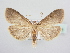  ( - BC ZSM Lep 64011)  @13 [ ] Unspecified (default): All Rights Reserved  Unspecified Unspecified