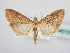  ( - BC ZSM Lep 64013)  @13 [ ] Unspecified (default): All Rights Reserved  Unspecified Unspecified