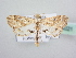  ( - BC ZSM Lep 64021)  @12 [ ] Unspecified (default): All Rights Reserved  Unspecified Unspecified