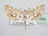  ( - BC ZSM Lep 64024)  @13 [ ] Unspecified (default): All Rights Reserved  Unspecified Unspecified