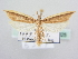 ( - BC ZSM Lep 64025)  @14 [ ] Unspecified (default): All Rights Reserved  Unspecified Unspecified