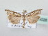  ( - BC ZSM Lep 64028)  @13 [ ] Unspecified (default): All Rights Reserved  Unspecified Unspecified
