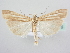  ( - BC ZSM Lep 64035)  @14 [ ] Unspecified (default): All Rights Reserved  Unspecified Unspecified