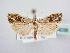  ( - BC ZSM Lep 64036)  @13 [ ] Unspecified (default): All Rights Reserved  Unspecified Unspecified