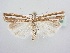  ( - BC ZSM Lep 64038)  @15 [ ] Unspecified (default): All Rights Reserved  Unspecified Unspecified