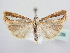  ( - BC ZSM Lep 64039)  @12 [ ] Unspecified (default): All Rights Reserved  Unspecified Unspecified