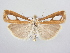  ( - BC ZSM Lep 64041)  @14 [ ] Unspecified (default): All Rights Reserved  Unspecified Unspecified