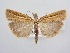  ( - BC ZSM Lep 64046)  @14 [ ] Unspecified (default): All Rights Reserved  Unspecified Unspecified